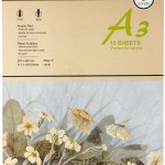 Conda Group Pad Acrylic A3 15sht300gm, CD-A412602-02