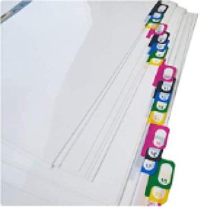 Clipp Plastic Grey Divider A4 1-20 Bx=20, CP-F29420