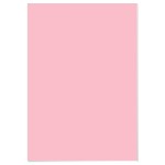Funbo Foamboard 50x70x0.5cm Pink PAK=5 EA, FO-FB5070-PK