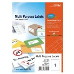 Formtec Label 100/A4 size Bx=100sht, FT-GS-1001