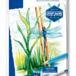 Staedtler Coloured pencil aquarell Metal Set 12col, ST-14610C-M12